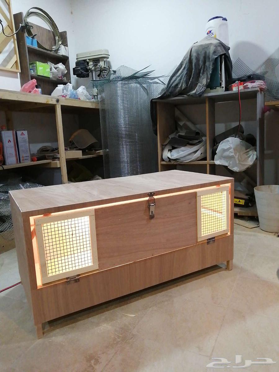 حضانة صوص إنتاج دواجن63224533516034113