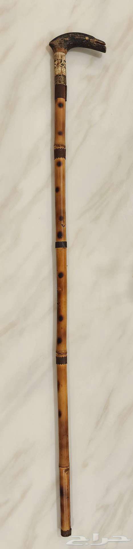 An old, strong, beautiful walking stick, truly God is the one who guides.63221576790915114