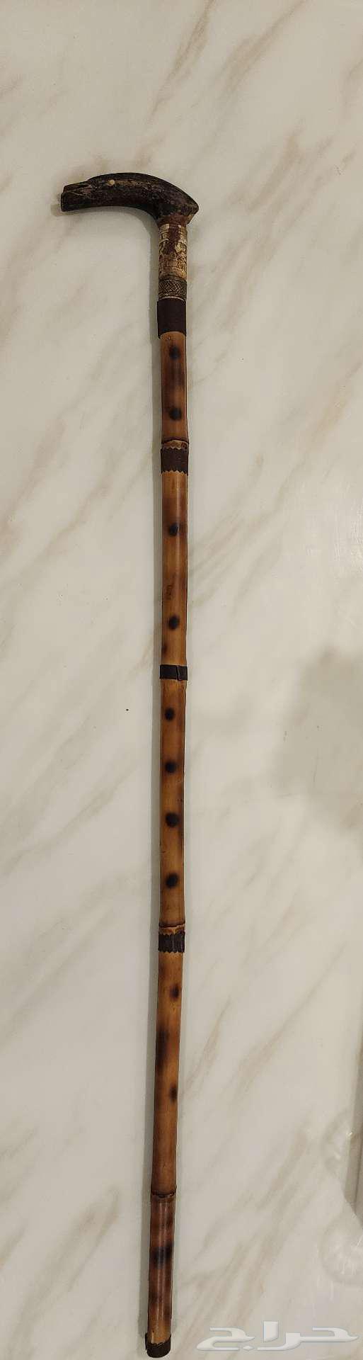 An old, strong, beautiful walking stick, truly God is the one who guides.63221576790915111