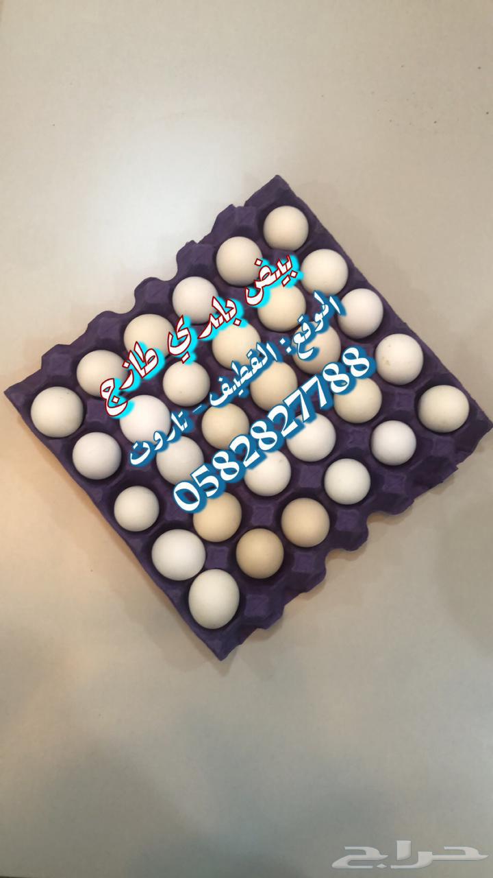Fresh local eggs632190188791051121