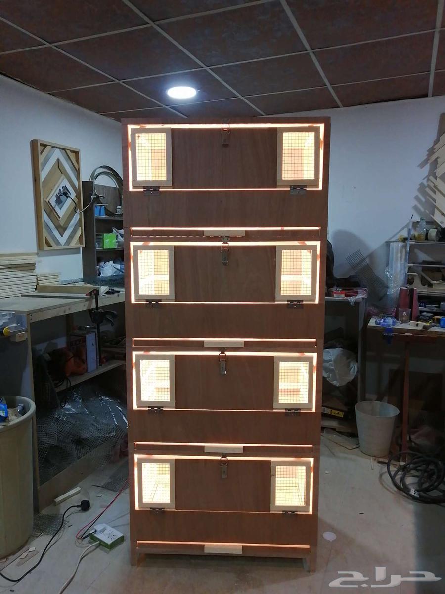 حضانة صوص إنتاج دواجن63219015135874111
