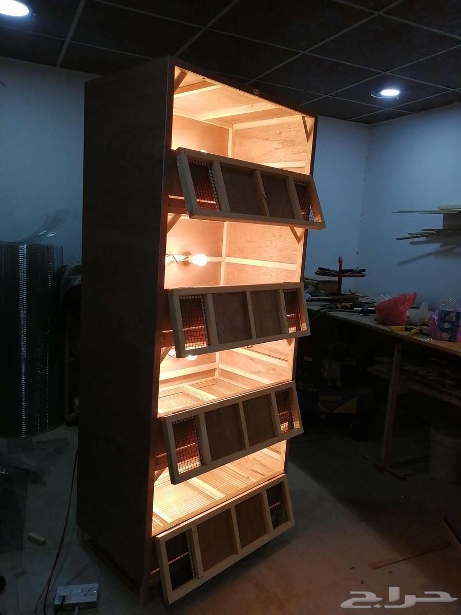 حضانة صوص إنتاج دواجن63219015135874113