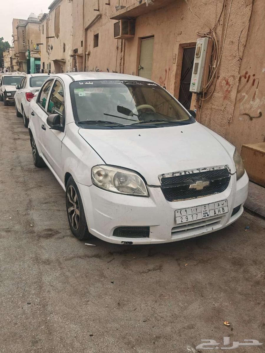 شفرليت63332082629633112