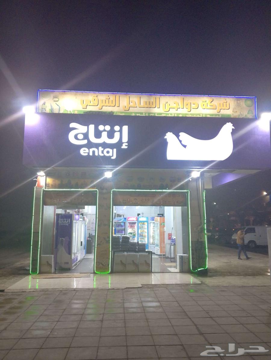 Poultry for sale at wholesale prices suitable for everyone63214156654081112