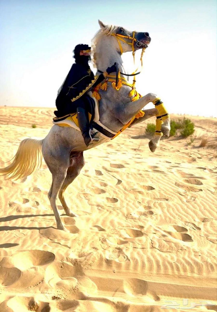 Female equestrians are required to participate in Founding Day celebrations.63211126477570111