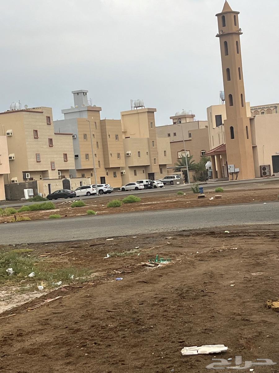 Land for sale opposite a mosque and Rabigh Al-Salib Al-Sharqi park63007801913218112