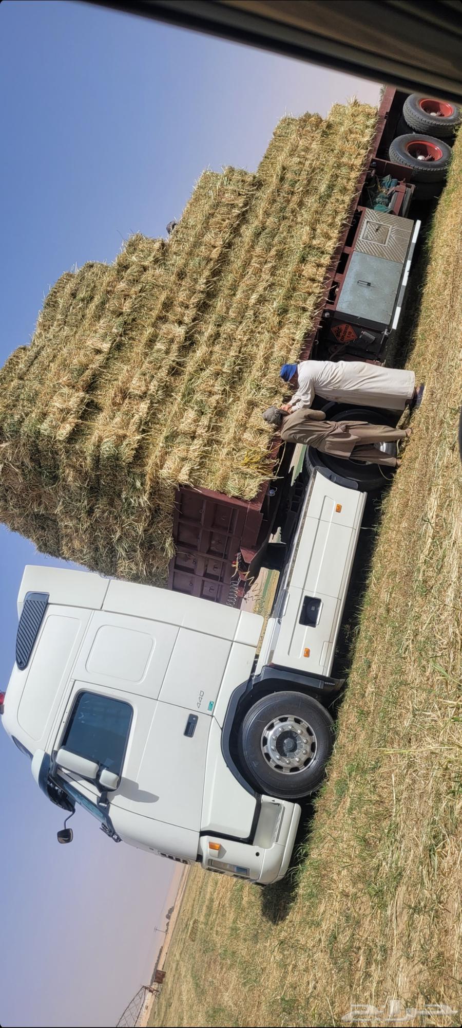 For sale. Mixed. Winter. New. Snabel. Barley. With hibian. With spring grass.63207078212482111