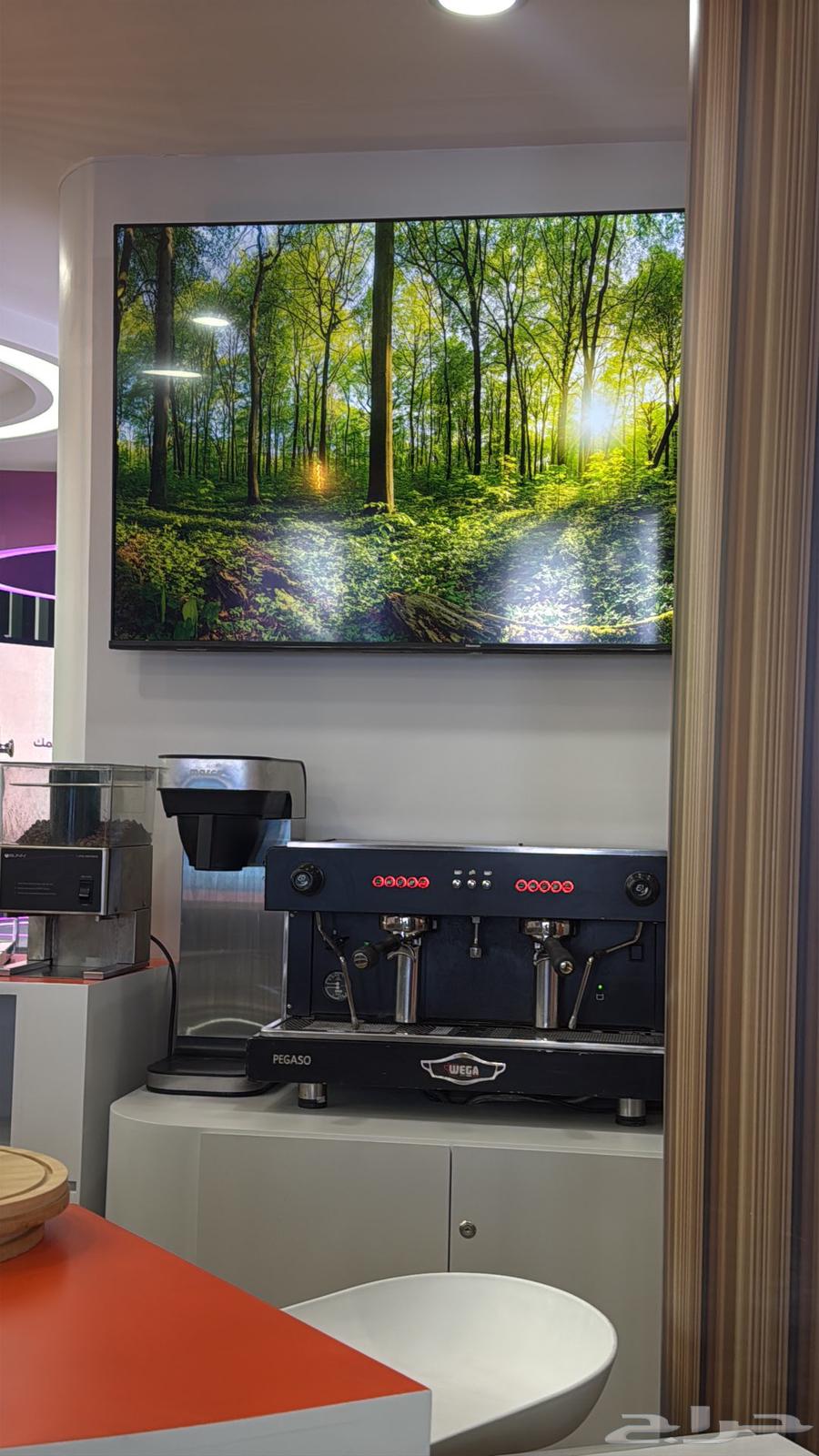 Specialty Coffee Hospitality - Saudi Coffee Hospitality63201368778625112