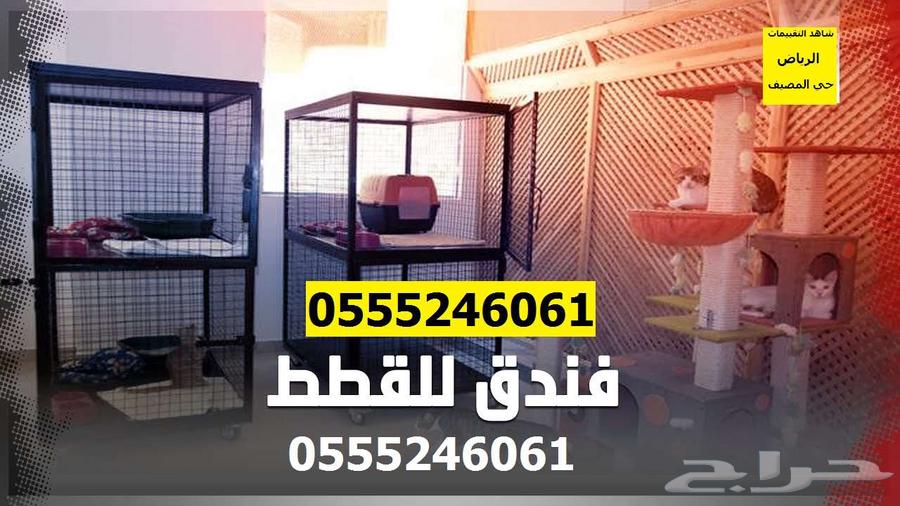 Cat Hotel 6061 24 0555 Al-Muruj District63196343574659110