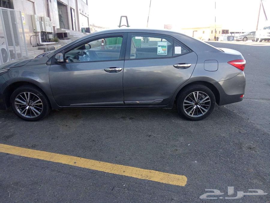 Kourla 201563300677828609112