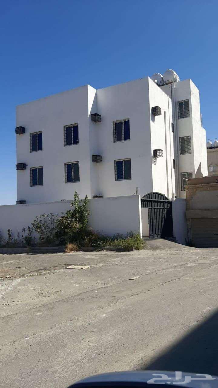 736-  صيده للبيع عمارة 6 شقق مميزة بحي المحالة   ابها63009269739011118