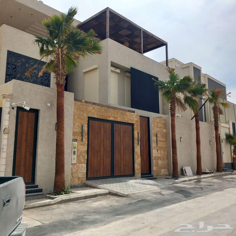 نخل واشنطني واشنطونيا زينه63186000207873113