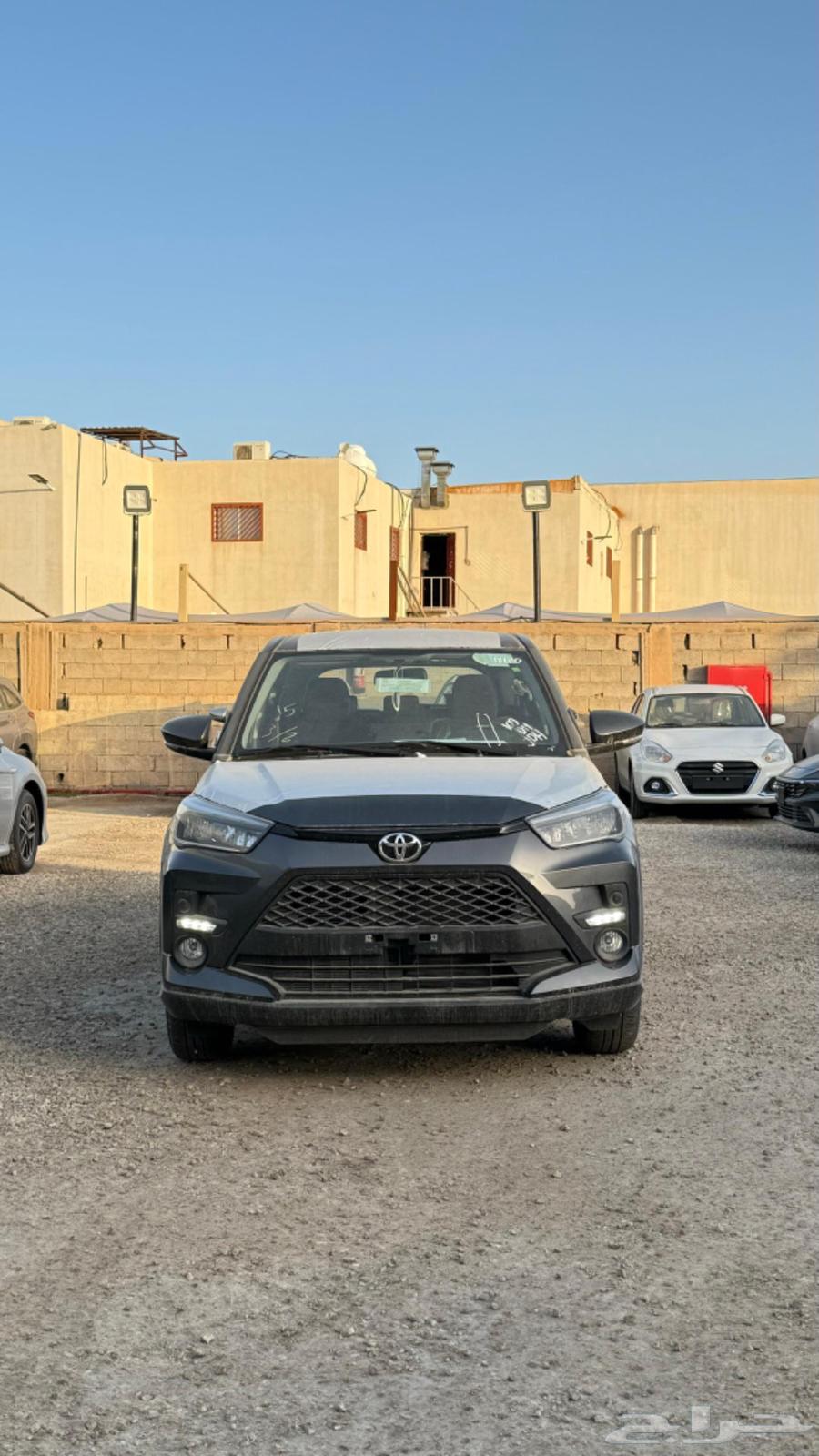رايز فل كامل202463274027261953113