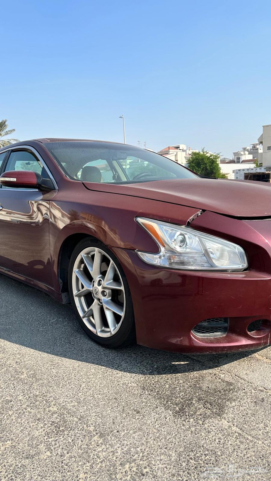 Maxima 2010 full option63270656922755112