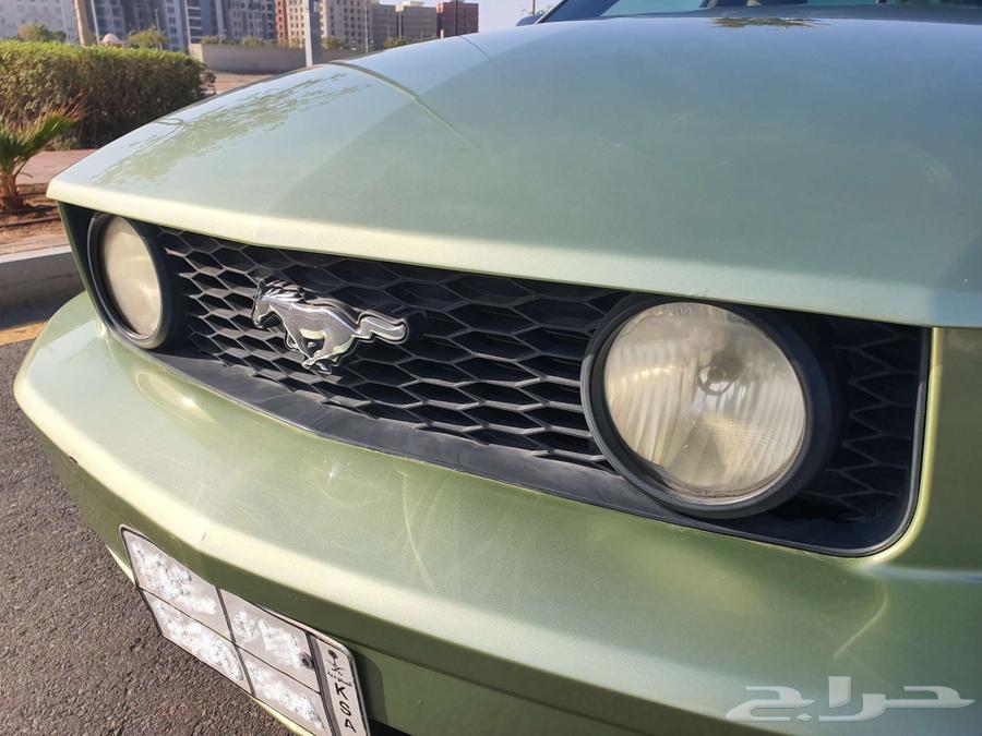 Mustang GT 2006 (tank)63269605035651112