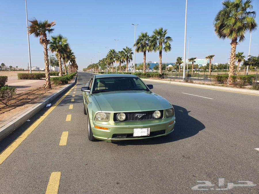 Mustang GT 2006 (tank)63269605035651113