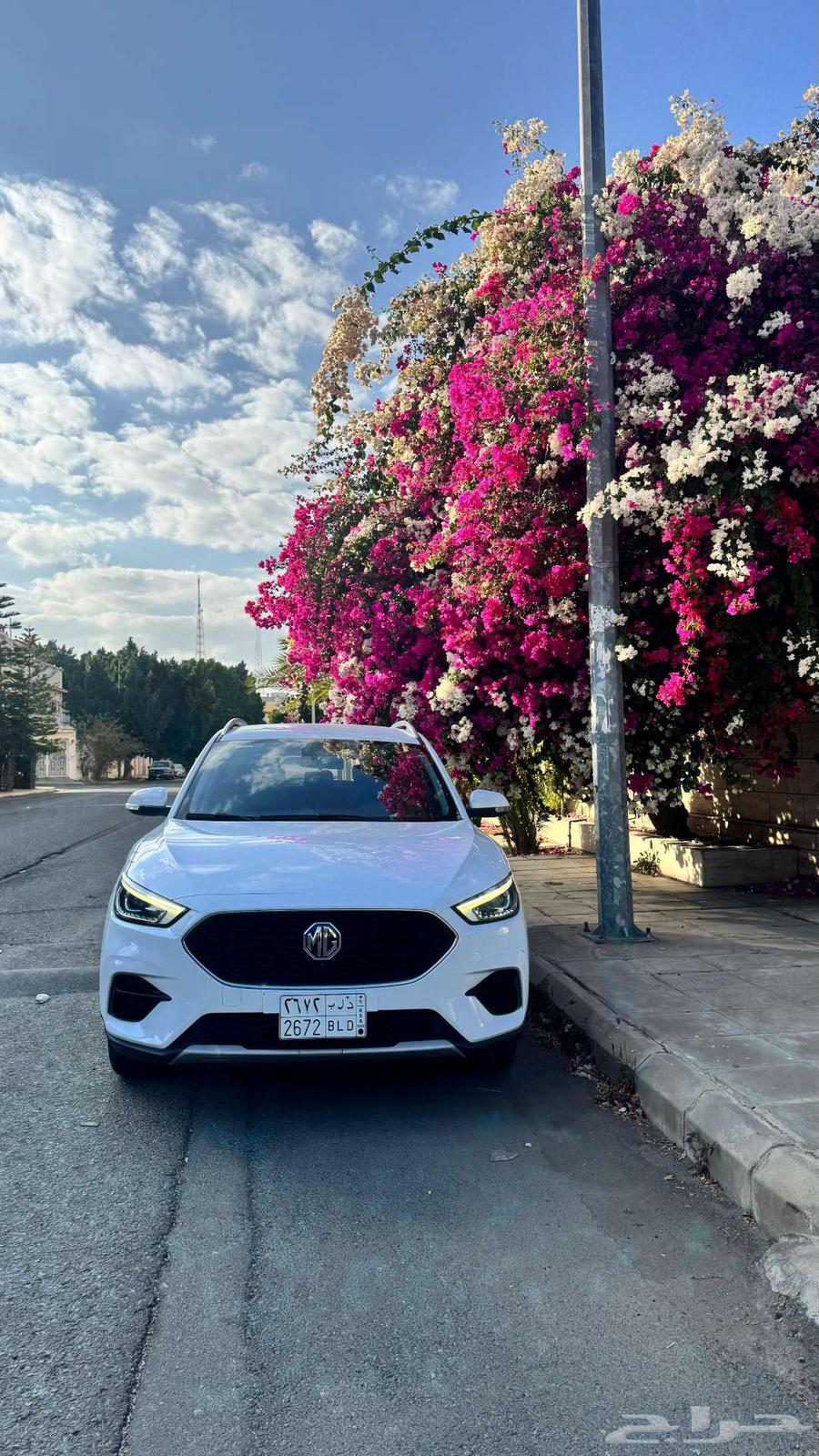 ام جى -زد اس ملوحة MG-ZS63262962329474110