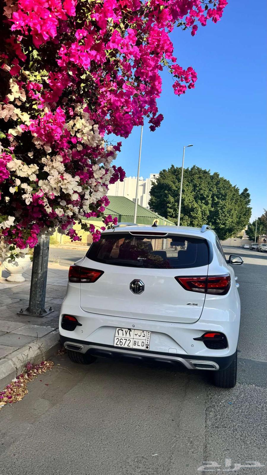 ام جى -زد اس ملوحة MG-ZS63262962329474113