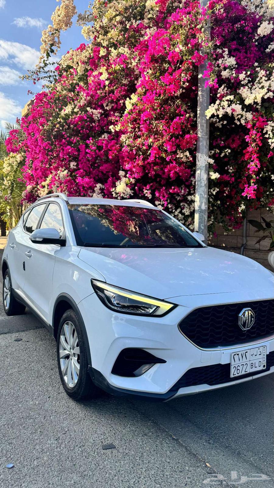 ام جى -زد اس ملوحة MG-ZS63262962329474111