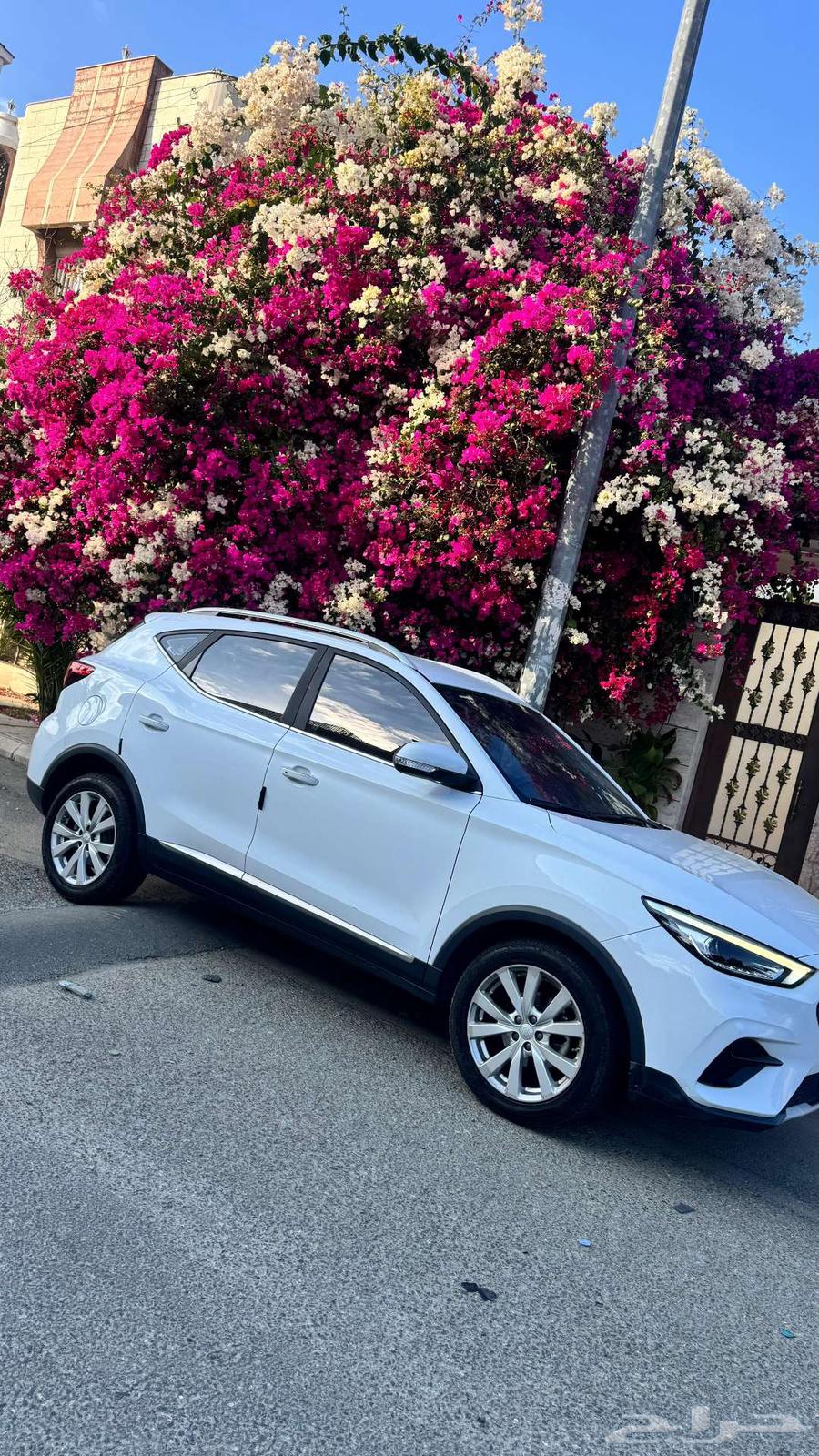 ام جى -زد اس ملوحة MG-ZS63262962329474112
