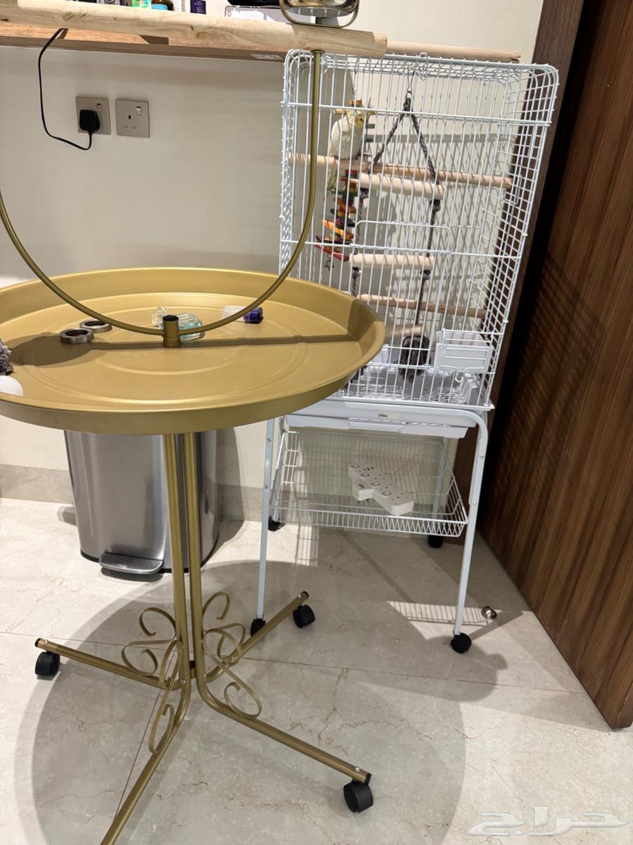 قفص واكسورات ببغاء631740880974101127