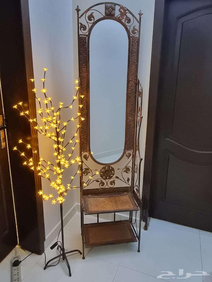 مدخل جميل وشجرة مضيئة63170594232833111