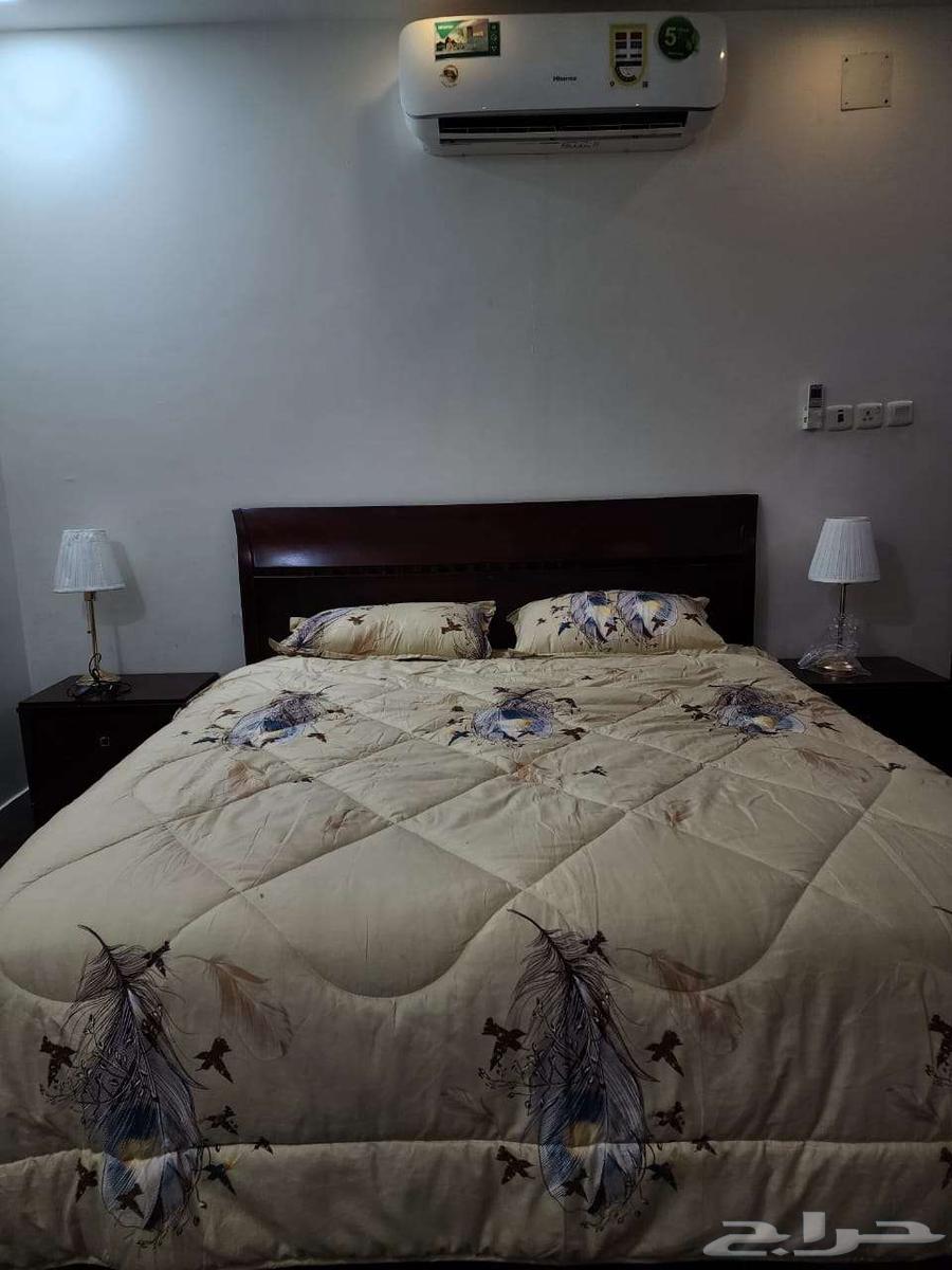 شقة مؤثثة للايجار63009593996546113