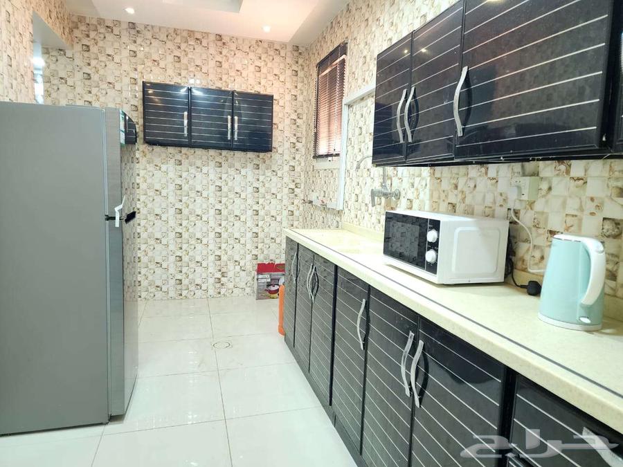 شقة مؤثثة للايجار63009593996546111
