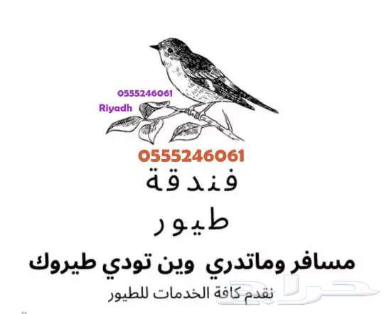 Cat hotel - Birds - During your travel and busy time - Meadows63168243909891111