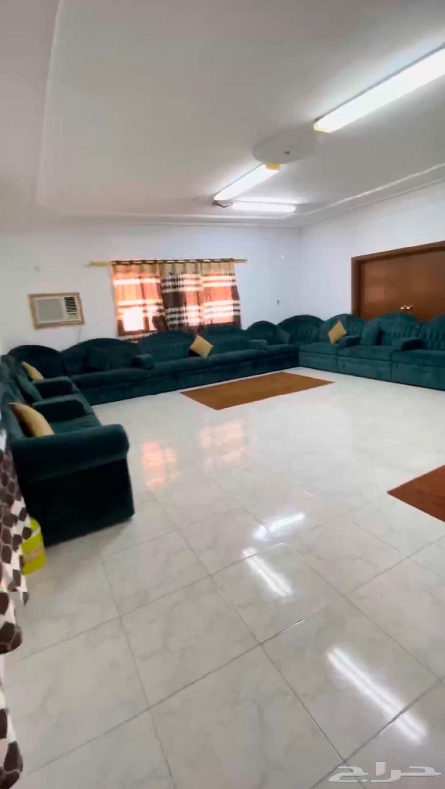 Spacious U-shaped sofa set63167775492226111