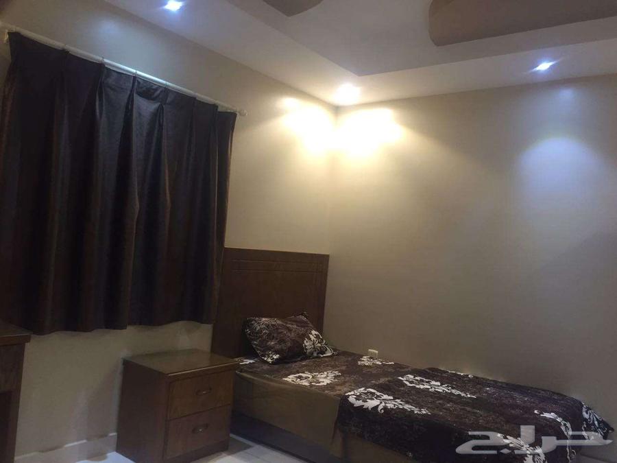 شقق عزاب مفروشة63015211942019113