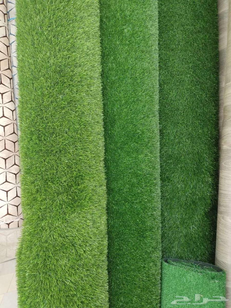 Angela, the grass, the thistle, nature and artificial.63165472000643111