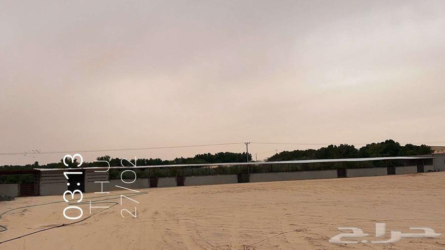 For sale, a farm west of Al-Mulaiji, electronic title deed 62213m263009594920067114