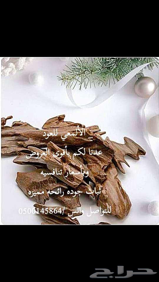 Oud player and oud perfume63161730565251112