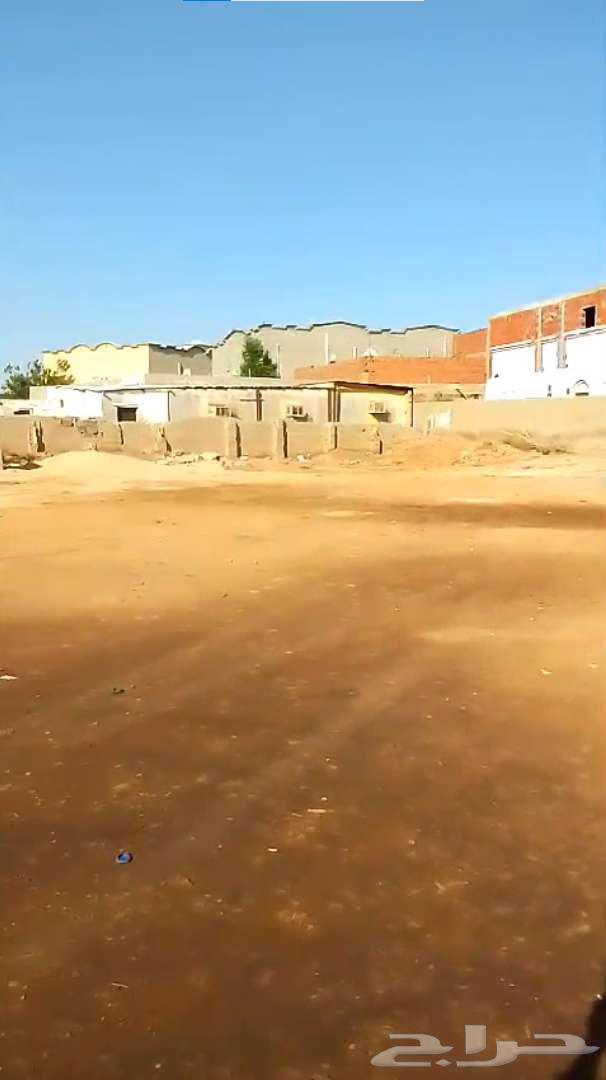 للبيع ارض في بحره حداء مساحتها 1954م630156723508501117