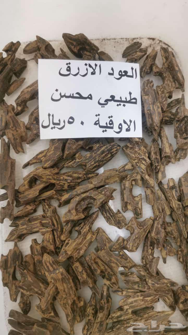 Oud player and oud perfume63161730565251113