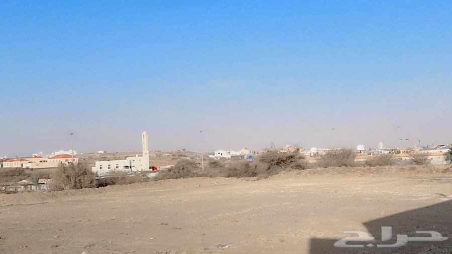 For rent and investment, agricultural land in Al-Rawdah district, Abha63014742710914112