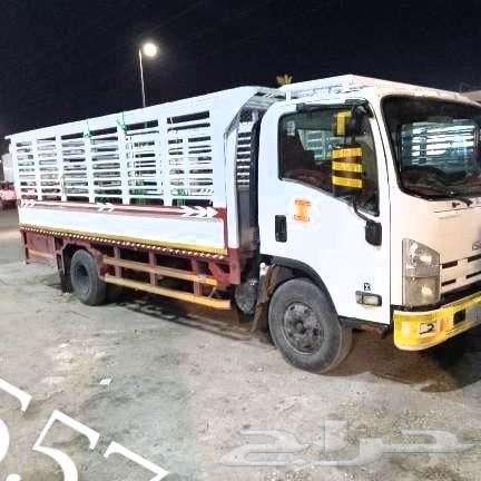 Moving furniture inside and outside Al-Hafra Al-Batin630204787125781122