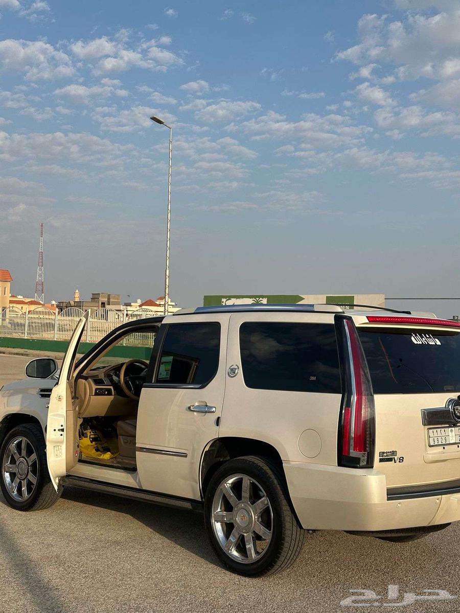 اسكاليد 201063225358679555111