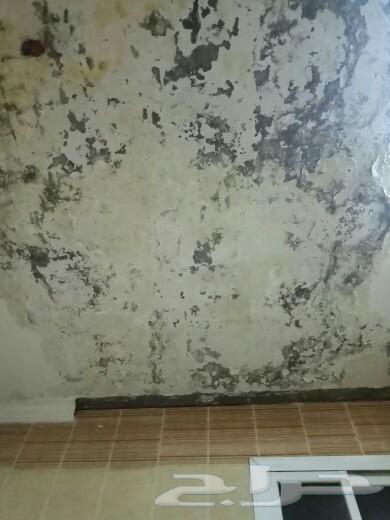 Electronic detection of water leaks in Al-Madinah Al-Munawwarah63007341944450112