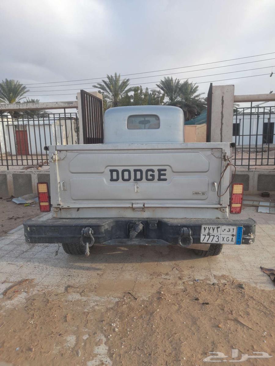 Old Doge Power Wigan63226316800899112