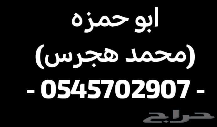 Hyundai Azera 2025 special cash discount Ramadan Kareem63220369764994112