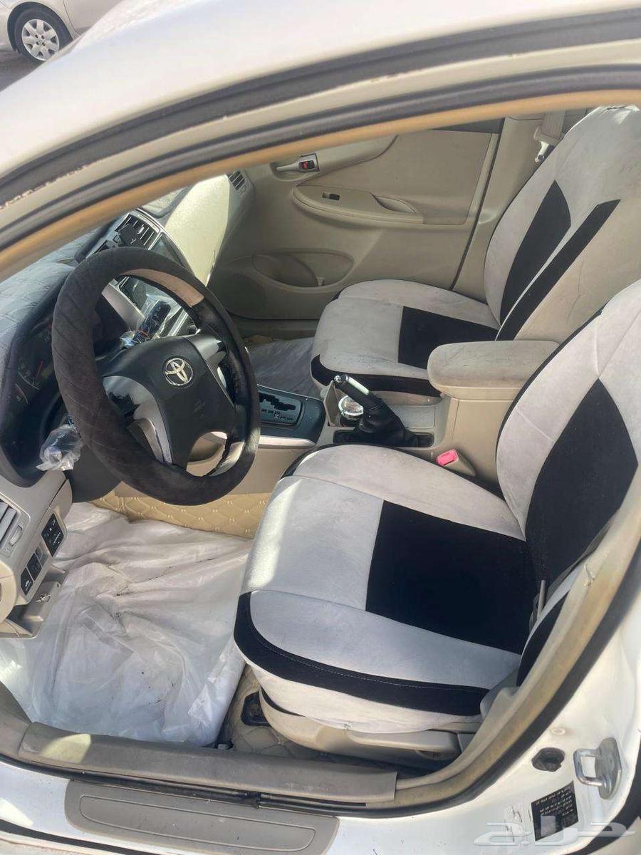 Korella63220370580994113