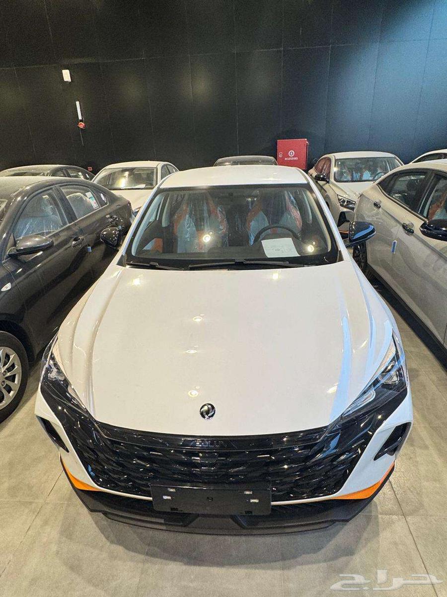 Dongfeng Chine Mash E1 202563221369501827112