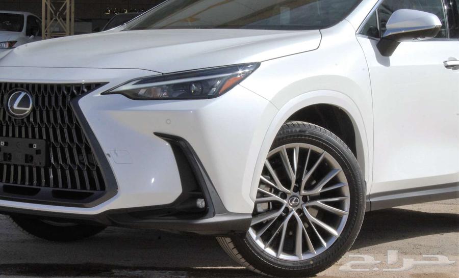 Lexus - NX350AA - Gulf - 202563220848749441112