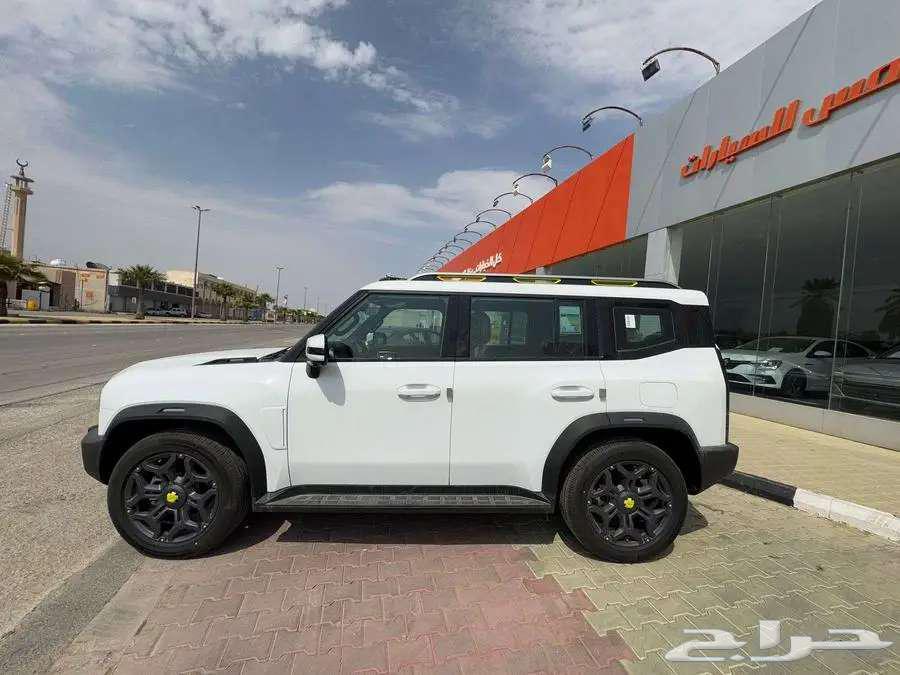 Geely T2 Luxury Full Model 202563220363672450112