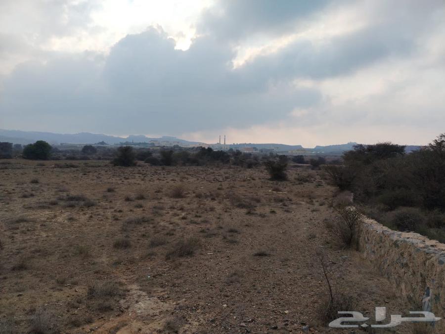 Agricultural land for sale in Abha, Al-Maharth, Al-Ghalith63014744209026113