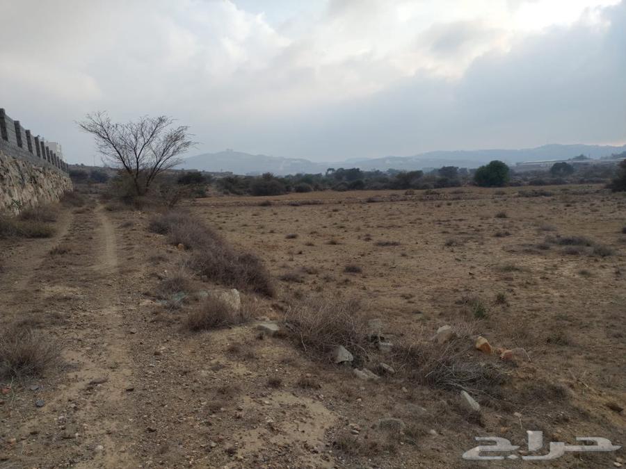Agricultural land for sale in Abha, Al-Maharth, Al-Ghalith63014744209026111