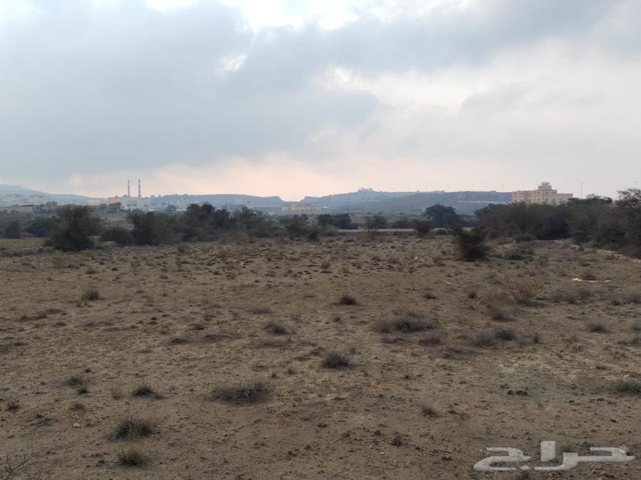 Agricultural land for sale in Abha, Al-Maharth, Al-Ghalith63014744209026114