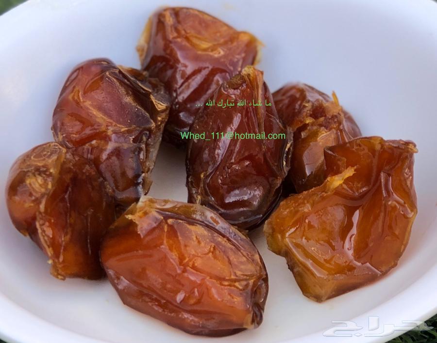 Tamar Al-Salas from Aniza 1446 AH63146025337601113